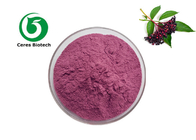 100% Natural Herbal Black Elderberry Fruit Extract Elderberry Powder