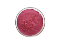 Food Grade Elderberry Fruit Powder 25% Anthocyanins Elderberry Fruit Extract