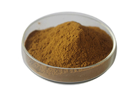 Flavone 24% and Lactones 6% Ginkgo Biloba Extract Powder for Cardiovascular Health