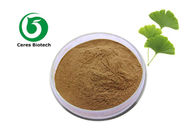 Regulate Blood Fat Bulk Ginkgo Biloba Extract Brown Powder 24/6 Medical Food Grade