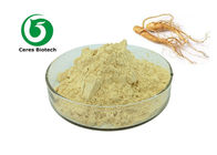 Anti-Aging Ginseng Extract Powder Ginsenoside 30% Medical / Food Grade