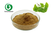 Natural Ginkgo Biloba Extract 24% Flavones 6% Lactones For Health Care