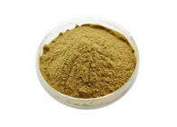 Anti Aging Pumpkin Seeds 80 Mesh Herbal Extract Powder