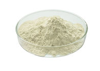 CAS 9001-73-4 Pharmaceutical Papain Papaya Extract Powder
