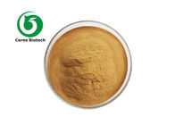 10/1 Pure Natrual Herbal Extract Powder Common Solidago Extract powder