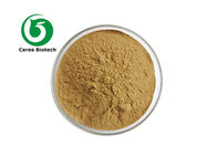 Salidroside Rosavins Herbal Extract Powder for Health and Wellness