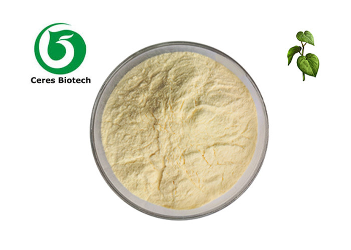 Herbal Extract 30% 70% Kavalactones Natural Kava Root Extract Powder