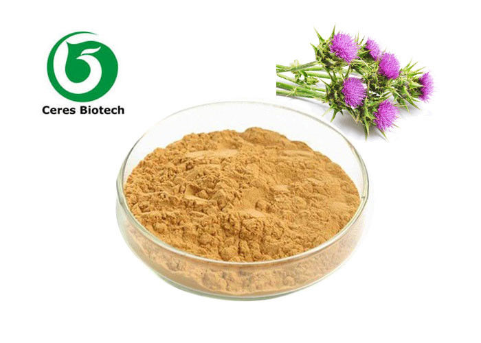 Natural Seed Milk Thistle Herbal Supplement Extract Powder Silymarin Uv 70%