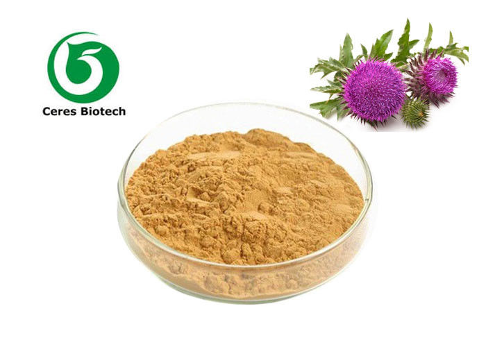 65666-07-1 Organic Milk Thistle Extract Powder Silymarin Hplc 60% Anti - Radiation