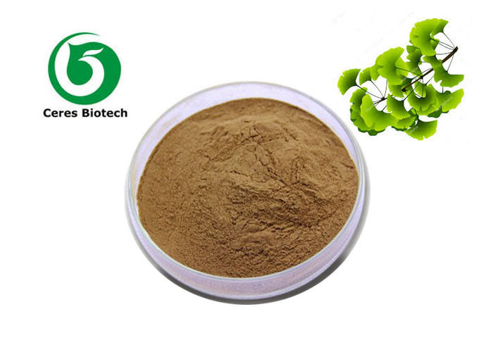 24 Flavone 6 Lactones Ginkgo Biloba Extract Powder Traditional Chinese Medicine Ethanol Extraction