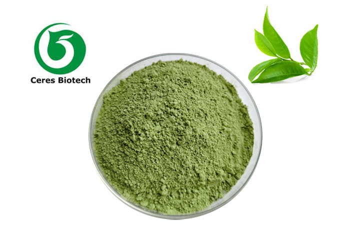 Tea Polyphenols Organic Matcha Tea Powder 1kg For Weight Loss