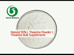 천연 95% L 테아닌 분말 L 테아닌 대량 보충제