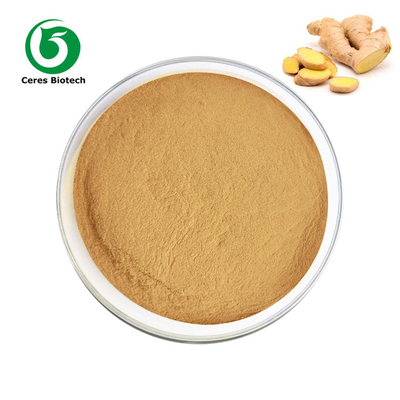 Health Food Dehydrated Dried Ginger Powder Herbal Extract