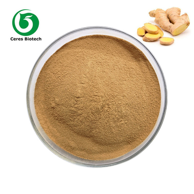 Raw Material Instant Ginger Powder Organic Ginger Extract Powder Health Spices