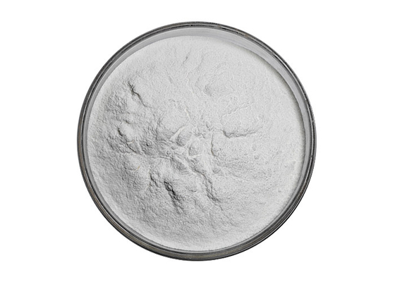 Organic Andrographis Paniculata Extract Andrographolide 98% For Anti-Inflammatory Effects