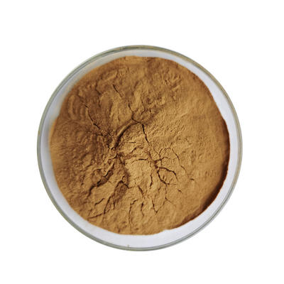 Pharmaceutical Grade Green Coffee Bean Extract Chlorogenic Boost Immune Function