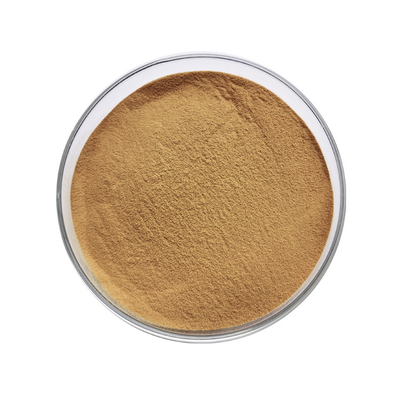 Factory Supply Rhubarb Root Extract Powder Rheum Palmatum Extract Powder