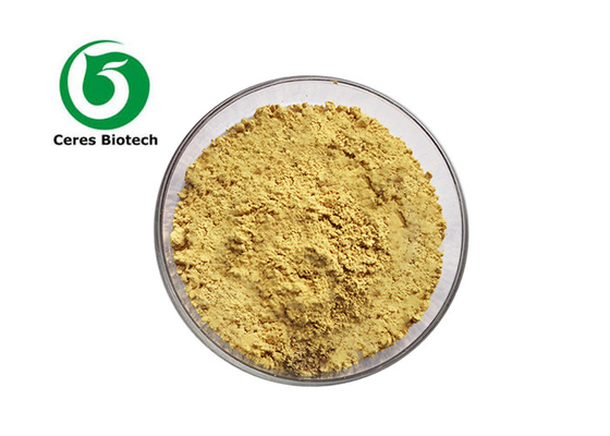 Food Grade Cynomorii Extract 98% Songaria Cynomorium Alkali with High Purity COA