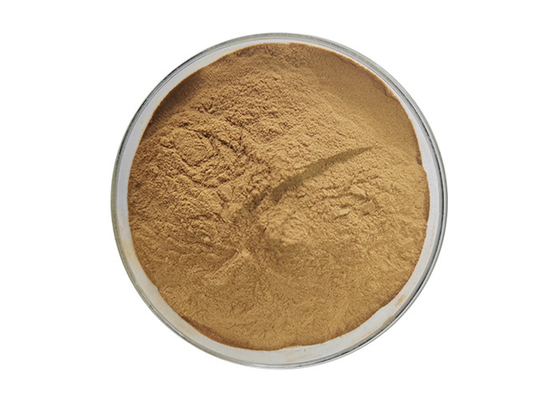Herbal Extract Powder Andrographis Paniculata Extract Andrographolide 10%