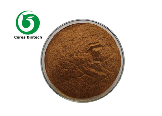 Nutraceuticals Function Antrodia Camphorata Extract Powder 10 1 20 1