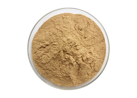 Ashwagandha Root Extract 5% Whithanolides