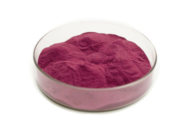 Natural Elderberry Extract Powder for Boosting Immune System and Preventing Cardiovascular Diseases