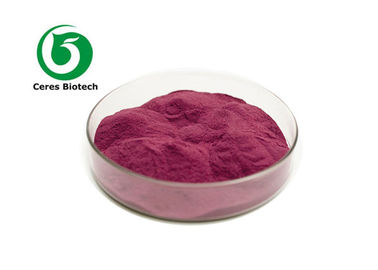 Natural Elderberry Extract Powder for Boosting Immune System and Preventing Cardiovascular Diseases