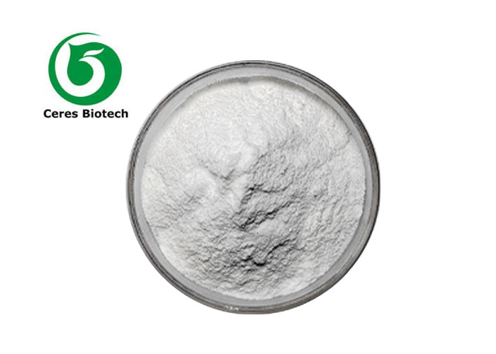Andrographis Paniculata Extract Powder for Natural Anti-Inflammatory and Pain Relief