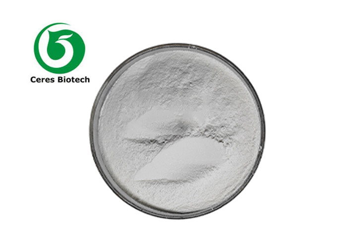 Organic Andrographis Paniculata Extract Andrographolide 98% For Anti-Inflammatory Effects