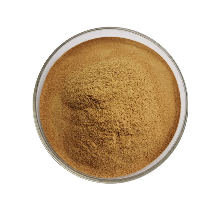 Food Grade Sheep Sorrel Extract Rumex Acetosa Extract Powder