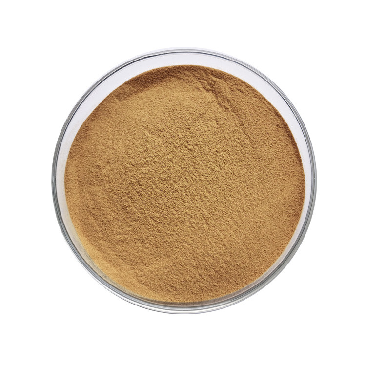 Factory Supply Rhubarb Root Extract Powder Rheum Palmatum Extract Powder