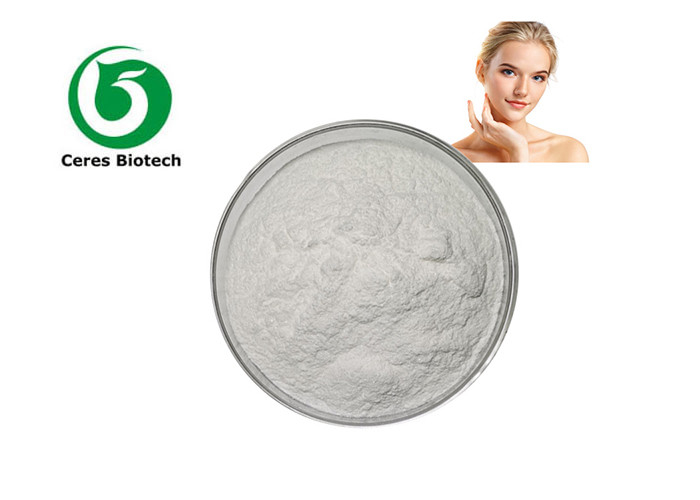 Top Quality Collagen Type II Hydrolyzed Chicken Breast Cartilage Type II Collagen Powder