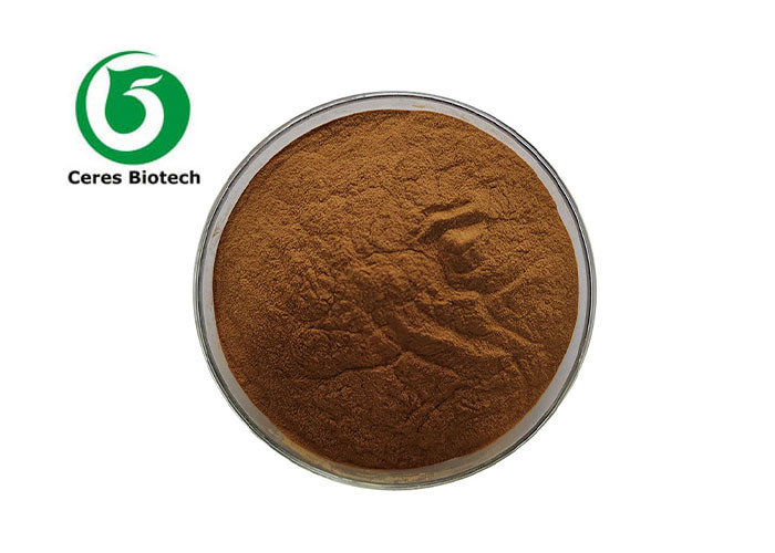 Nutraceuticals Function Antrodia Camphorata Extract Powder 10 1 20 1